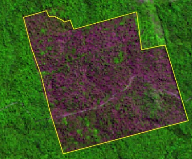 fig:bases-vetoriais:prodes-cesm