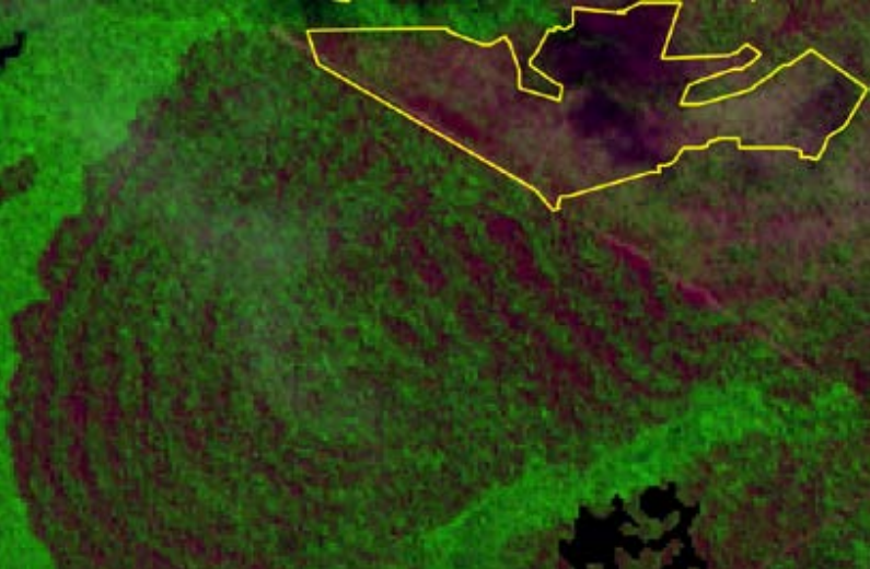fig:bases-vetoriais:prodes-cfs