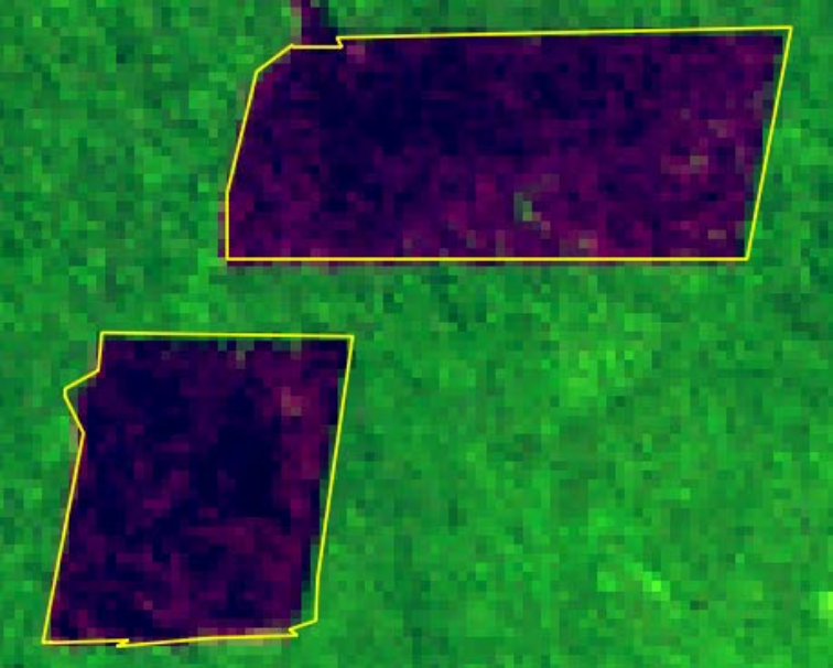 fig:bases-vetoriais:prodes-cqmd