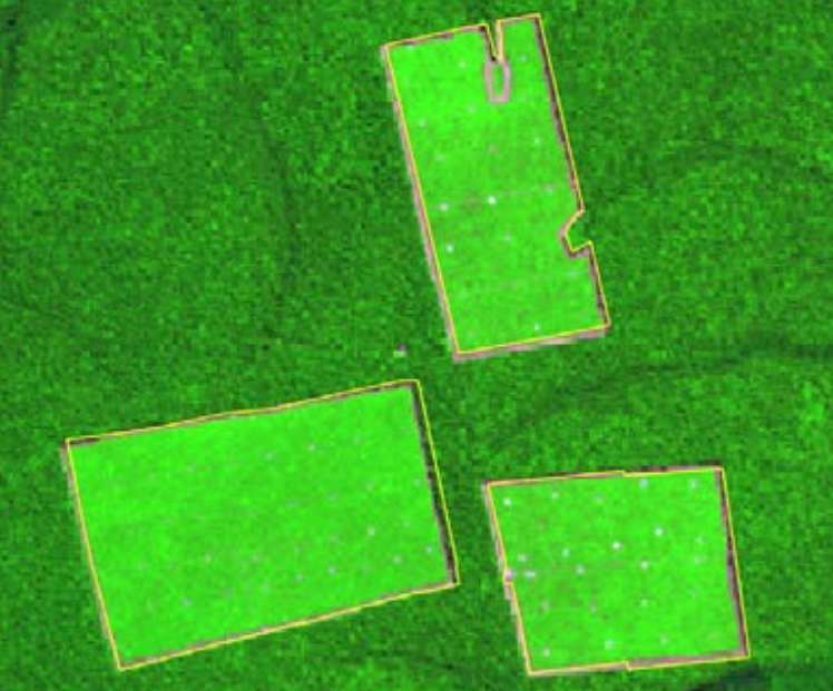 fig:bases-vetoriais:prodes-cveg